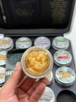 Whole Melt Extracts Passport Edition