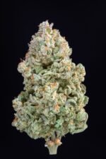 Afghan Kush Auto 1 pack Ferm - Image 6