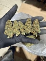 Blue Dream Strain - Image 2