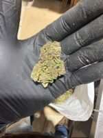 Sour Diesel Strain - Image 2