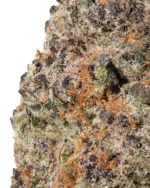 Granddaddy Purple (GDP) THCa Flower - Image 2