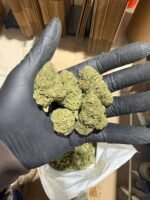 Jack Herer Strain - Image 2