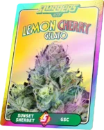 Sluggers Disposable 1.2g Lemon Cherry Gelato - Image 3