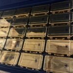 Ace Ultra Gold Box