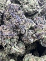 Gary Payton Licensed Dep - Image 3