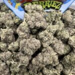 Crunch Berriez Licensed Indoor