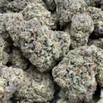 White Cherry Gelato