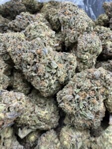 White Cherry Gelato