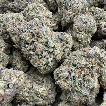 White Cherry Gelato