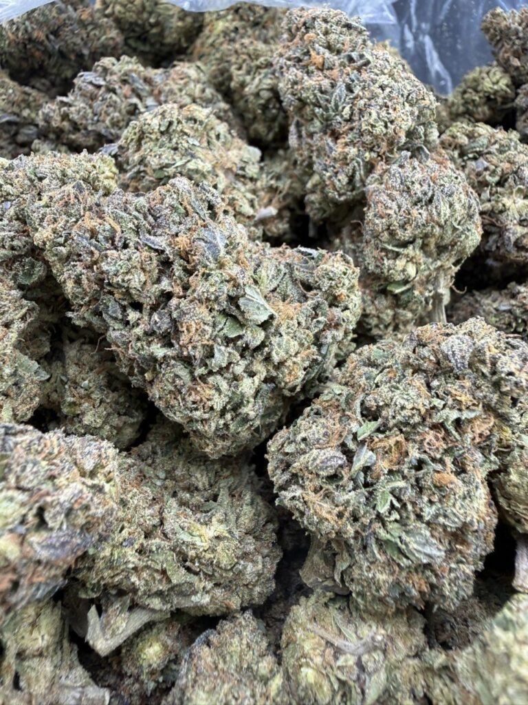 White Cherry Gelato