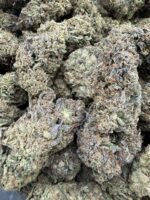 WCG Licensed Dep - Image 2