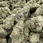 Maria Cbd flower