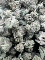 Mango x Guava Gelato Licensed Mixed Light Smalls - Image 4