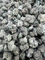 Mango x Guava Gelato Licensed Mixed Light Smalls - Image 3
