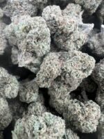 Black Cherry Gelato Licensed Mixed Light