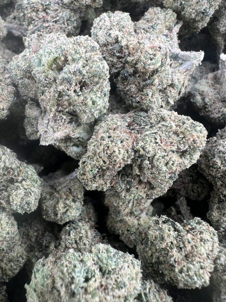 Black Cherry Gelato Licensed Mixed Light