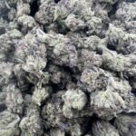 White Runtz Weed Strain Information