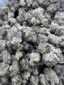 White Runtz Weed Strain Information