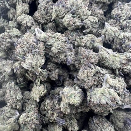 White Runtz Weed Strain Information