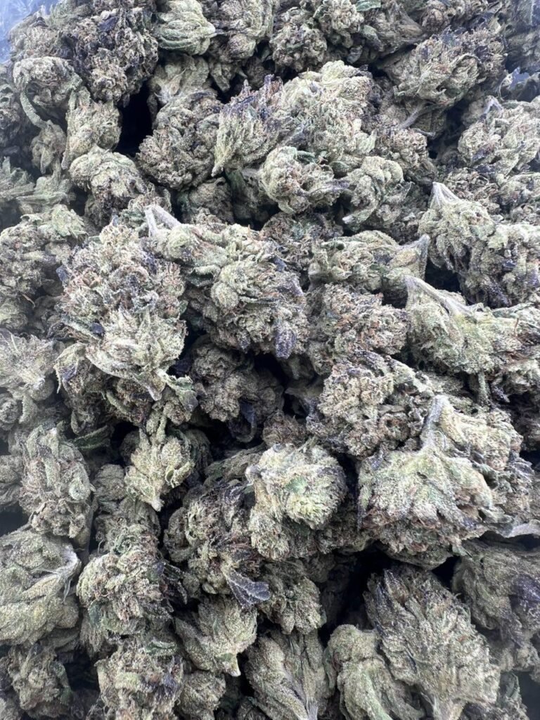 White Runtz Weed Strain Information