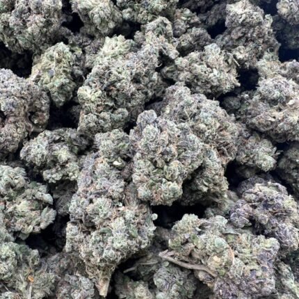 sour tangie strain