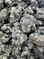 Sour Tangie Licensed Indoor - Image 3