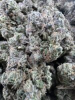 Sour Tangie Licensed Indoor - Image 2