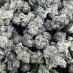 Bolo Runtz Weed Strain