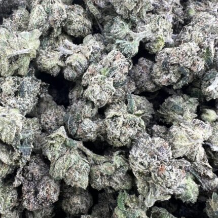 Bolo Runtz Weed Strain