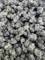 Bolo Candy Licensed Indoor Smalls - Image 3